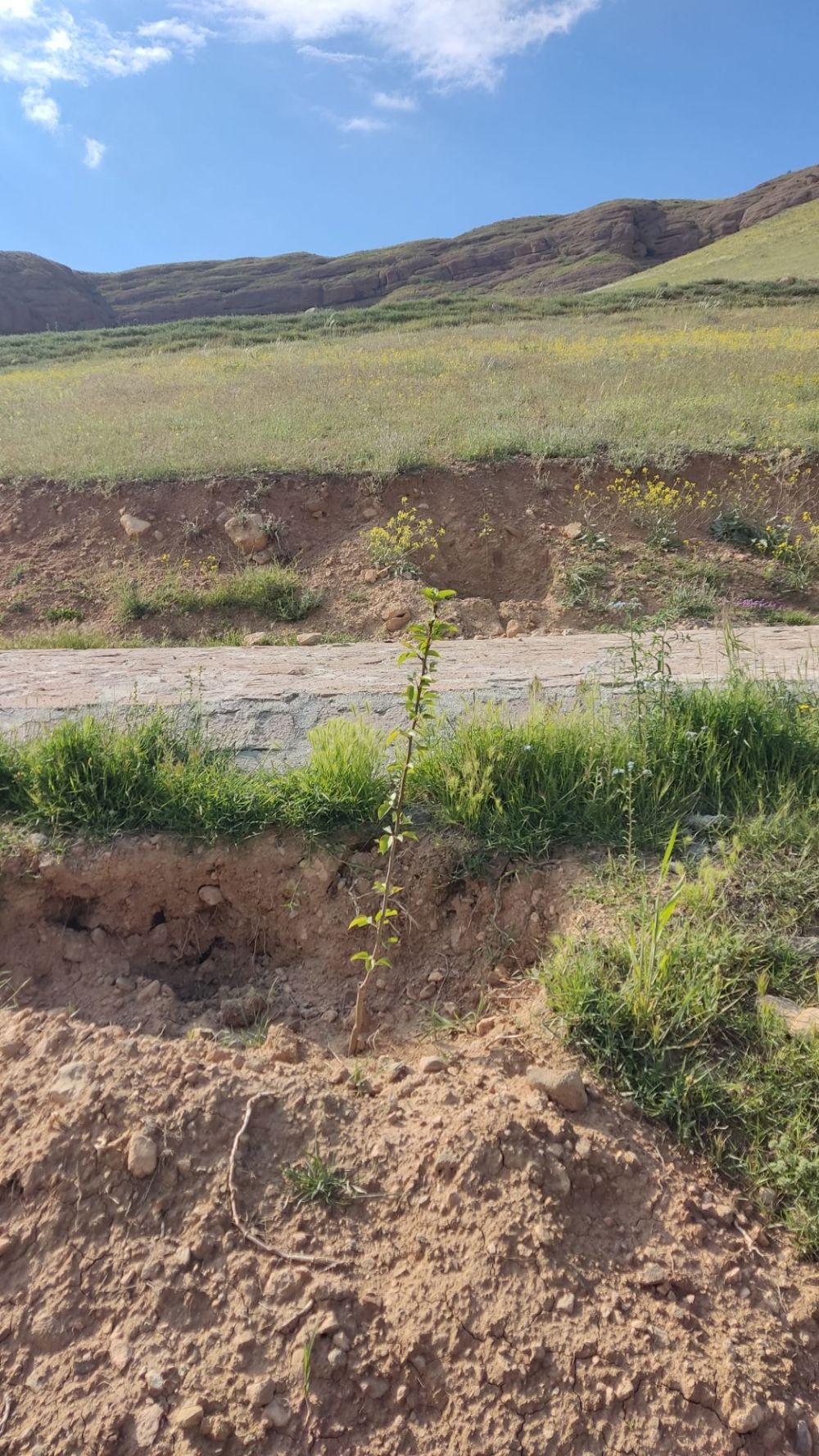 مستندات گزارش