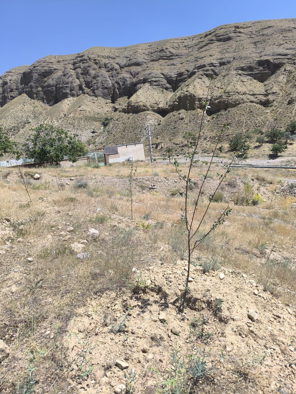 مستندات گزارش
