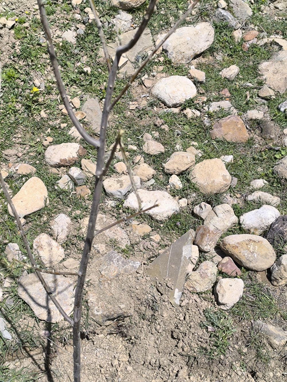 مستندات گزارش