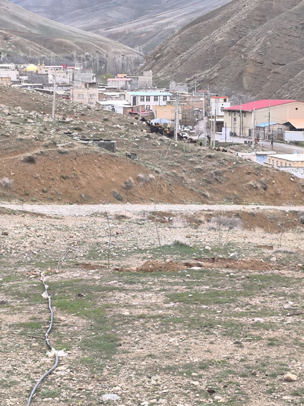 مستندات گزارش